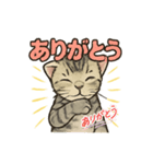 ちび大豆くん_スタンプ（個別スタンプ：1）