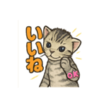 ちび大豆くん_スタンプ（個別スタンプ：3）