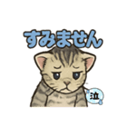 ちび大豆くん_スタンプ（個別スタンプ：5）