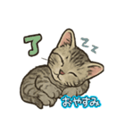 ちび大豆くん_スタンプ（個別スタンプ：7）