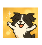 キラキラまじめなボーダーコリー@SFW（個別スタンプ：1）