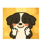 キラキラまじめなボーダーコリー@SFW（個別スタンプ：3）