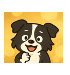キラキラまじめなボーダーコリー@SFW（個別スタンプ：4）
