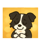 キラキラまじめなボーダーコリー@SFW（個別スタンプ：5）