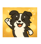 キラキラまじめなボーダーコリー@SFW（個別スタンプ：6）