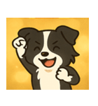 キラキラまじめなボーダーコリー@SFW（個別スタンプ：7）