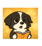 キラキラまじめなボーダーコリー@SFW（個別スタンプ：8）