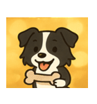 キラキラまじめなボーダーコリー@SFW（個別スタンプ：9）