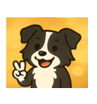 キラキラまじめなボーダーコリー@SFW（個別スタンプ：13）