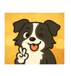 キラキラまじめなボーダーコリー@SFW（個別スタンプ：15）