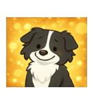 キラキラまじめなボーダーコリー@SFW（個別スタンプ：19）