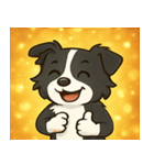 キラキラまじめなボーダーコリー@SFW（個別スタンプ：25）