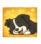 キラキラまじめなボーダーコリー@SFW（個別スタンプ：28）