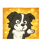 キラキラまじめなボーダーコリー@SFW（個別スタンプ：31）