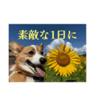 向日葵と申します。。（個別スタンプ：3）