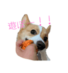 向日葵と申します。。（個別スタンプ：11）