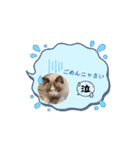 気軽に使える可愛いラグド♪（個別スタンプ：8）