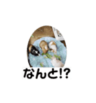 モルモット家族の動く共感・相槌スタンプ（個別スタンプ：16）