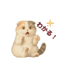 スコティッシュりん（個別スタンプ：2）