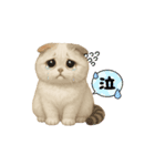 スコティッシュりん（個別スタンプ：11）