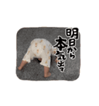 乙冬ちゃん（個別スタンプ：11）
