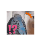 動くumiちゃんスタンプ（個別スタンプ：2）
