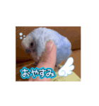 動くumiちゃんスタンプ（個別スタンプ：4）