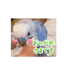 動くumiちゃんスタンプ（個別スタンプ：5）
