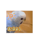 動くumiちゃんスタンプ（個別スタンプ：6）