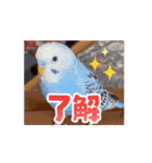 動くumiちゃんスタンプ（個別スタンプ：7）