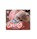 動くumiちゃんスタンプ（個別スタンプ：8）