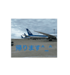 飛行動画（個別スタンプ：2）