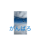 飛行動画（個別スタンプ：8）