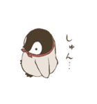 マフラーぺんぎん・ぺんや6−生産性皆無編（個別スタンプ：11）