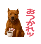 表情豊かなピットブル犬のぴーちゃん（個別スタンプ：4）