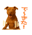 表情豊かなピットブル犬のぴーちゃん（個別スタンプ：17）