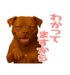 表情豊かなピットブル犬のぴーちゃん（個別スタンプ：36）