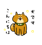 犬です！毎日使えるしば犬【日常会話とか】（個別スタンプ：4）