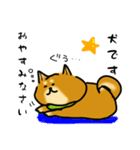 犬です！毎日使えるしば犬【日常会話とか】（個別スタンプ：6）