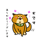 犬です！毎日使えるしば犬【日常会話とか】（個別スタンプ：7）