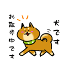 犬です！毎日使えるしば犬【日常会話とか】（個別スタンプ：9）