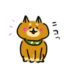 犬です！毎日使えるしば犬【日常会話とか】（個別スタンプ：12）