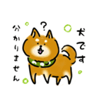 犬です！毎日使えるしば犬【日常会話とか】（個別スタンプ：13）