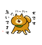 犬です！毎日使えるしば犬【日常会話とか】（個別スタンプ：15）