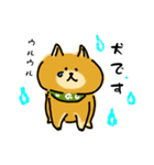犬です！毎日使えるしば犬【日常会話とか】（個別スタンプ：18）