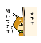 犬です！毎日使えるしば犬【日常会話とか】（個別スタンプ：21）