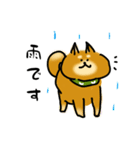犬です！毎日使えるしば犬【日常会話とか】（個別スタンプ：24）