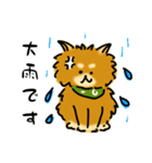 犬です！毎日使えるしば犬【日常会話とか】（個別スタンプ：25）