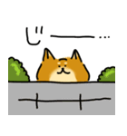 犬です！毎日使えるしば犬【日常会話とか】（個別スタンプ：26）