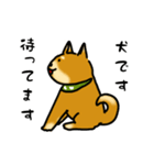 犬です！毎日使えるしば犬【日常会話とか】（個別スタンプ：29）